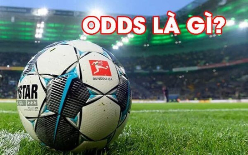 Odds ở đây chính là dạng tỷ lệ cược